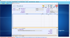 Probilnet Nakliyat Programı 22