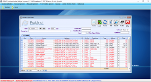 Probilnet Nakliyat Programı 24